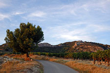 France-Provence-From Mont Ventoux to Chateauneuf du Pape